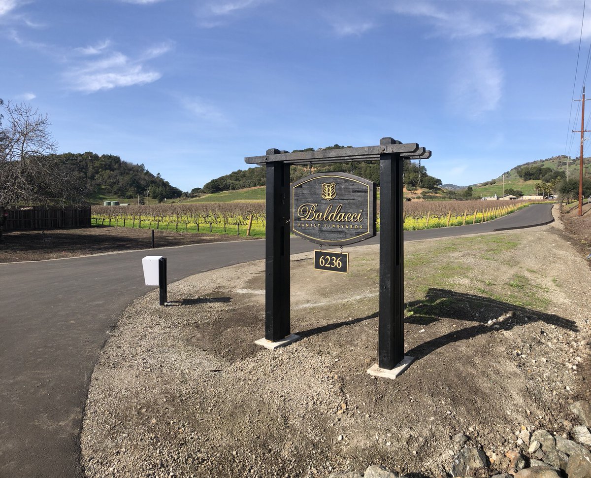 baldacciwinery's tweet photo. Curious about why there is so much mustard in the vineyard? @washingtonpost did a great piece to answer all things mustard #DrinkBFVwine #Bcurious https://t.co/F9n3a5xH2L https://t.co/p8Di3lgaD0