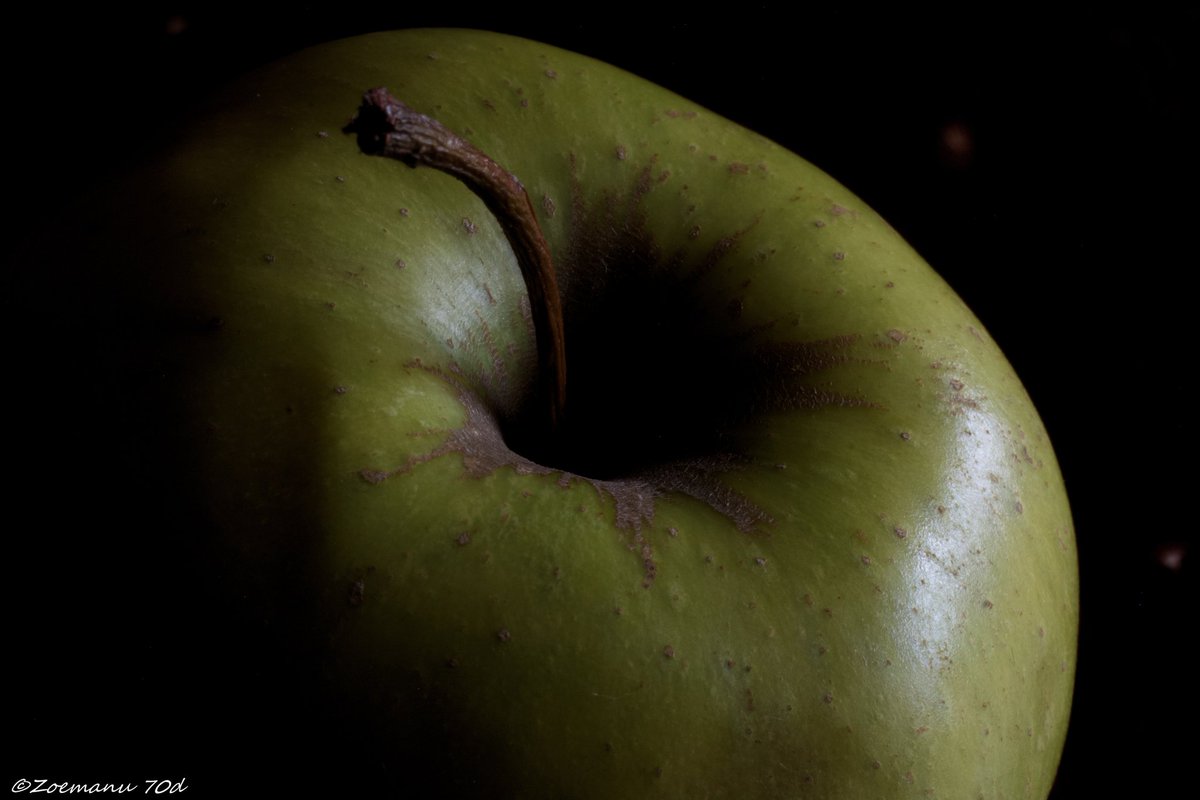 Apple planet! <a href="/NatGeoPhotos/">Nat Geo Photography</a> @EGTTOURS <a href="/CanonItaliaSpA/">Canon Italia</a> <a href="/cittaslow_intl/">Cittaslow International</a> <a href="/inLOMBARDIA/">inLOMBARDIA</a> <a href="/SlowFoodItaly/">Slow Food Italia</a> <a href="/CyberLink/">CyberLink</a> <a href="/VegTimes/">Vegetarian Times</a> <a href="/TheVeganSociety/">The Vegan Society</a>