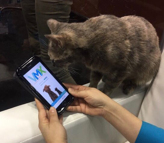 ATIVSoftware's tweet image. #EventPilot scientific #Meetings app is cat approved at #veterinary conference!