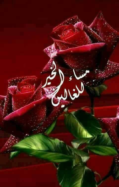 Badria_Mammlouk's tweet photo. @mennawjerr @pierrerabbat  https://t.co/RZggLtDfdf