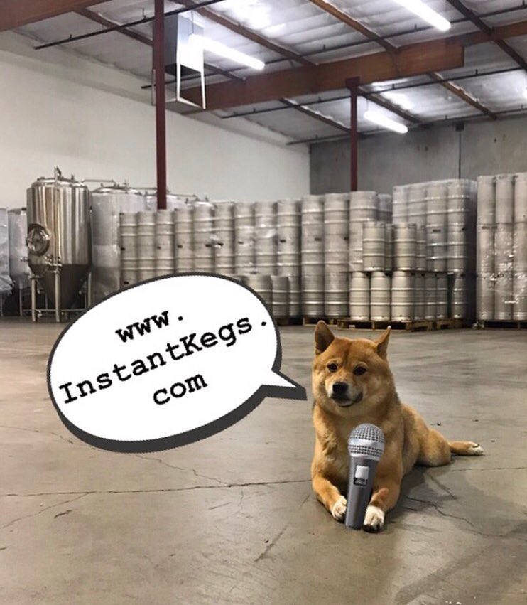 Yoshi knows! #OrderOnline #kegs #tanks #barrels #brites #officedog #craftbeer #beer #craftdog #brew