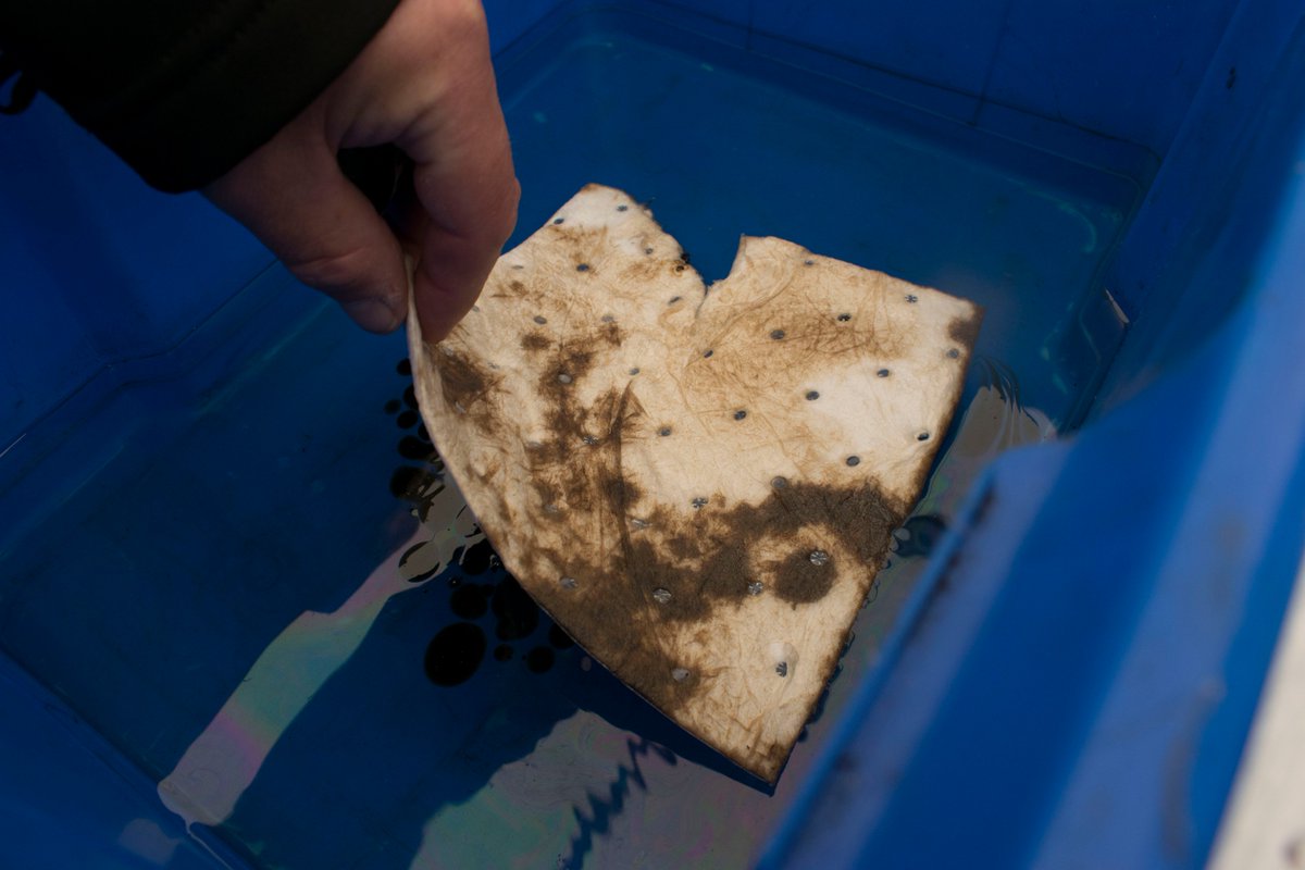 Starboard Locker tweet media