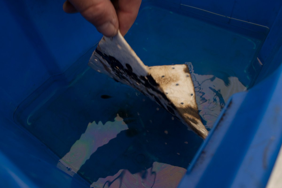 Starboard Locker tweet media