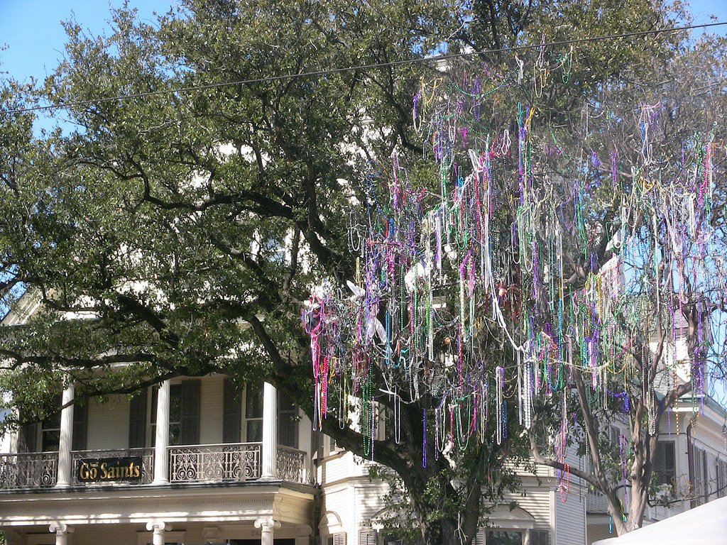 wwoz_neworleans's tweet photo. The trees are blooming! #MardiGras #mardigras2018 https://t.co/pFPB81TIAQ