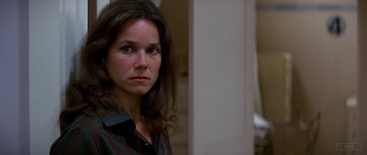 Barbara Hershey turns 70 today, happy birthday! What movie is it? 5 min to answer! 