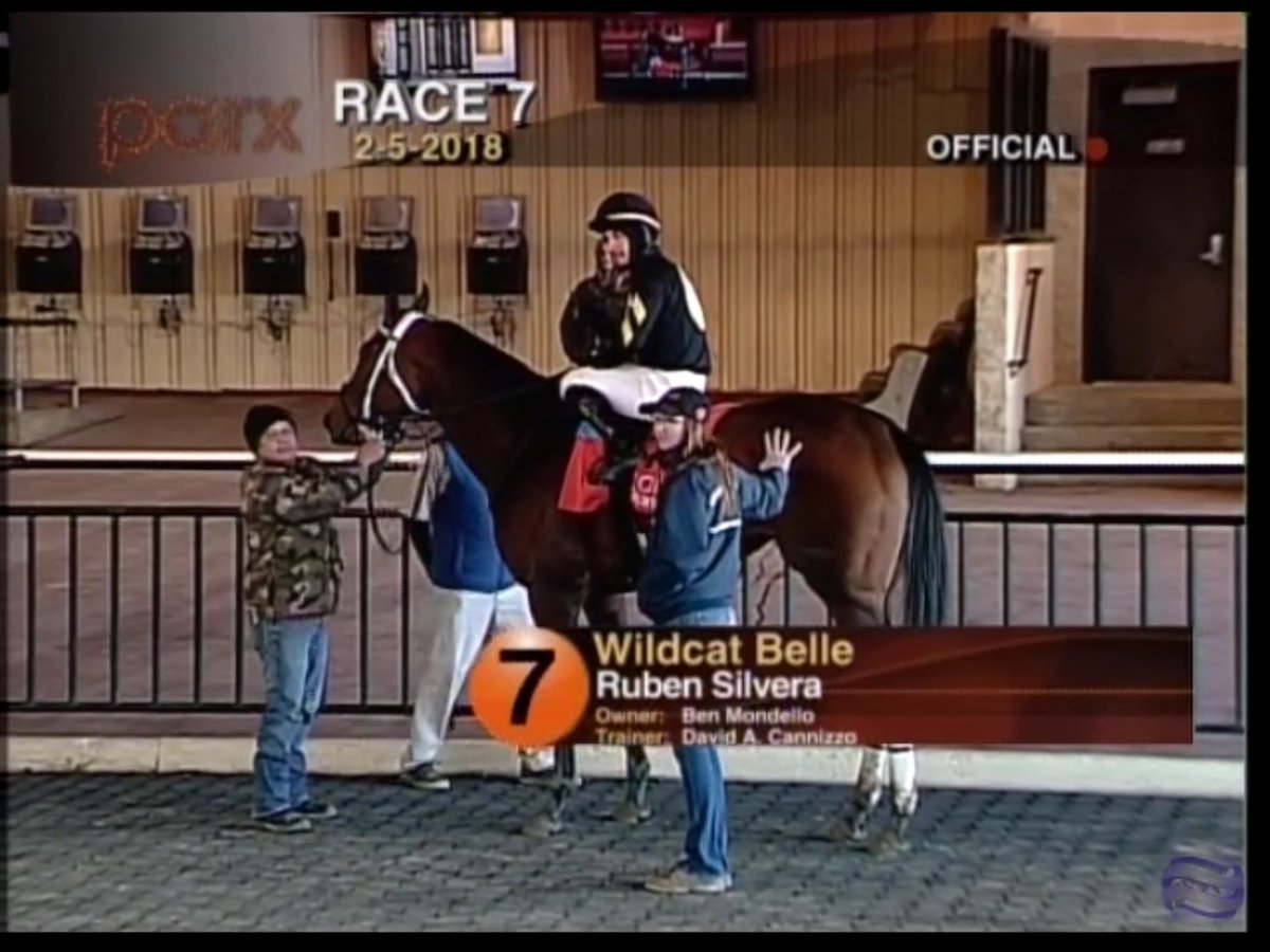 cscannizzo's tweet photo. Wildcat Belle romps at Parx. @DaveCannizzo @AckerScotty https://t.co/vGYN7lmauf