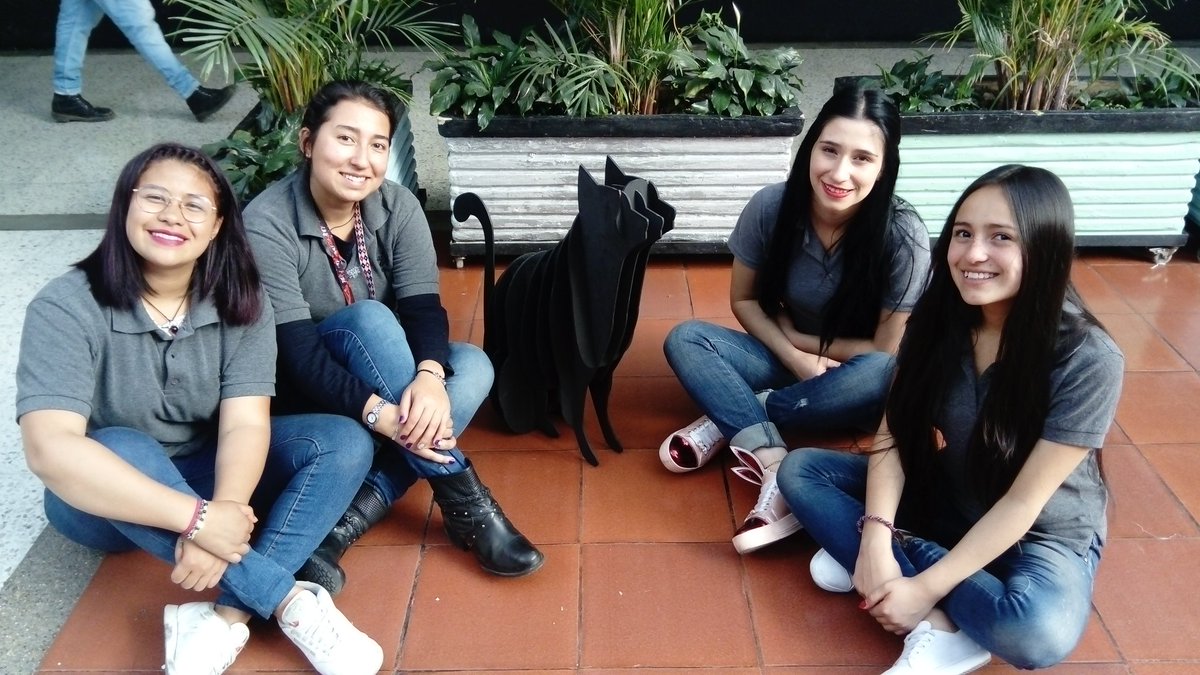 paulandrea_nd's tweet photo. Gato
#planoseriado
#diseño
#cenigraf
@SENAComunica
@cenigrafsubdir
@EnCasa12 https://t.co/tk2eTGT4O0