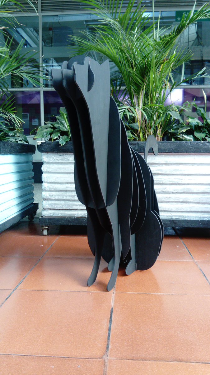 paulandrea_nd's tweet photo. Gato
#planoseriado
#diseño
#cenigraf
@SENAComunica
@cenigrafsubdir
@EnCasa12 https://t.co/tk2eTGT4O0