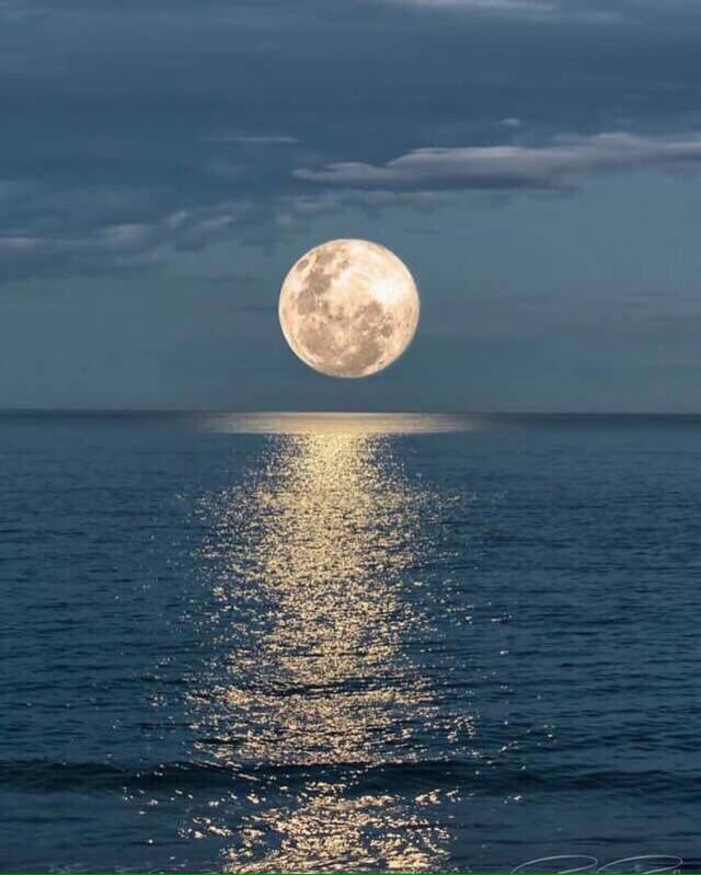 _VibesAR's tweet photo. “الله يعلم أن هذا التعب والإنهاك لم يكن ترفًا، الله يعلم كيف أصارع الحياة والأيام والناس وروحي على سبيل أن أبقى بكل هذا الثبات.” https://t.co/3PflCdgLoO