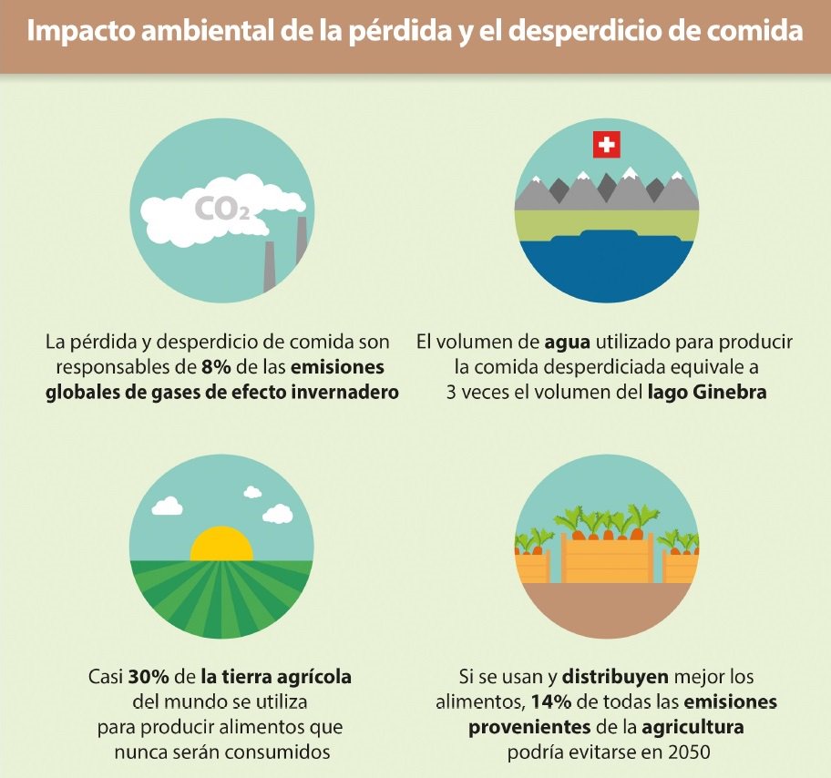 unep_espanol's tweet photo. Cuando tiramos #comida, también perdemos mucha #agua.  ¡Únete al círculo virtuoso del #NoDesperdicio! https://t.co/M2l1NO6GLM