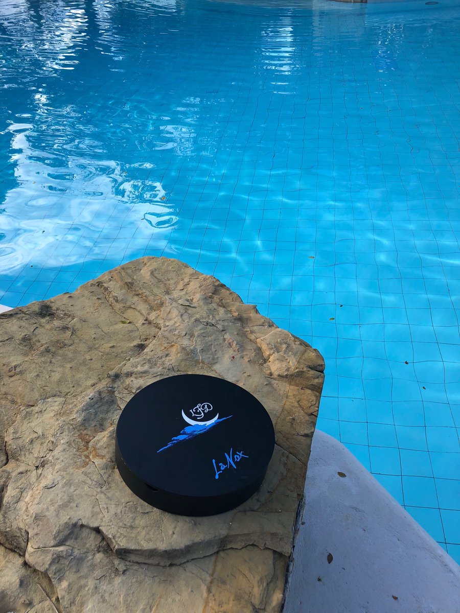 Tor_Imports's tweet photo. What every swimming pool needs ...@lfd @BlueJackTar #DominicanRepublic #LaNox #tortour https://t.co/a60NubpQHG