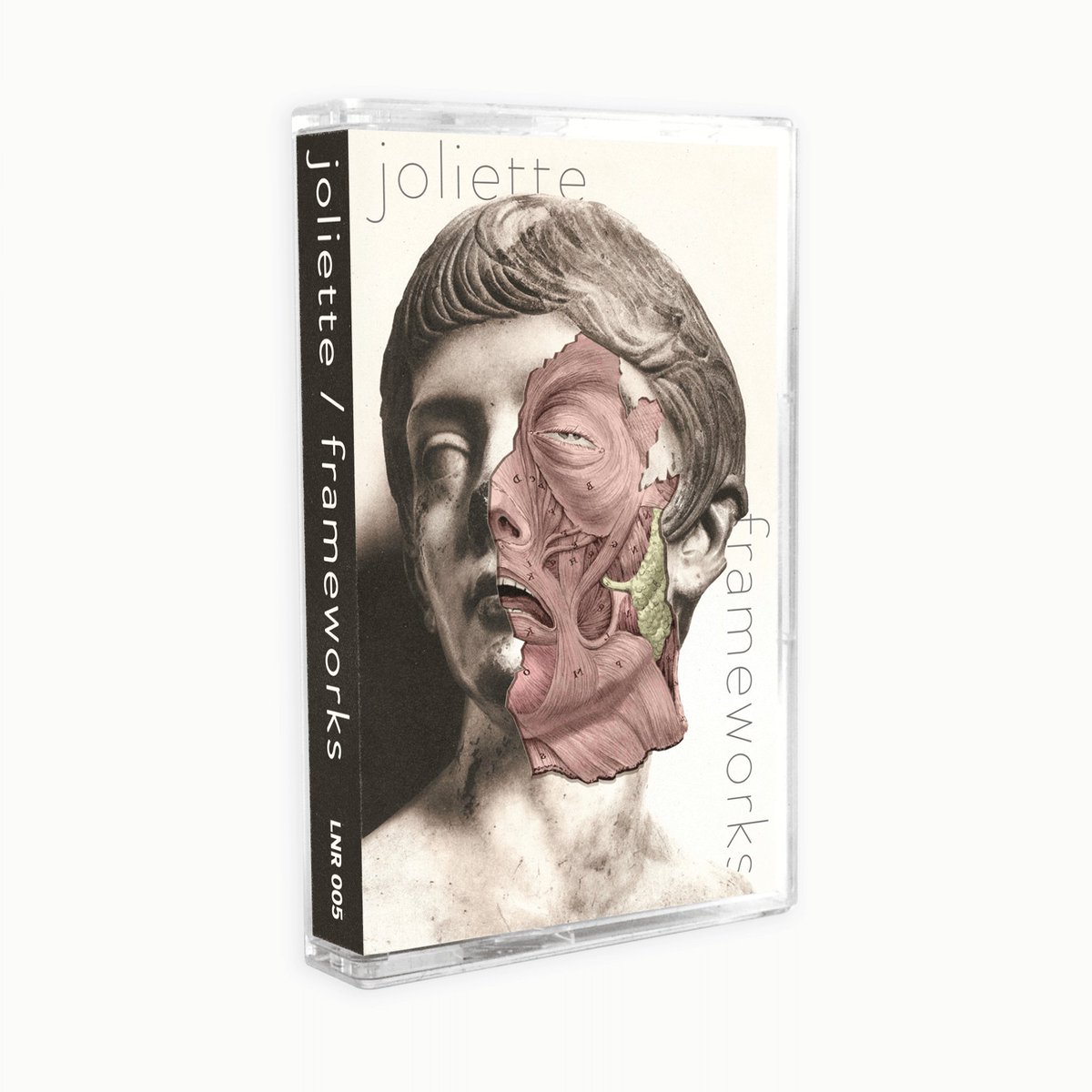 Stereo Confidential tweet media