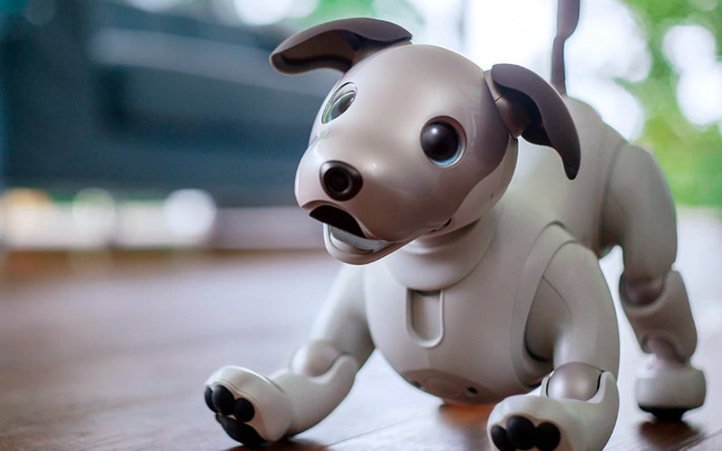 begadgetscom's tweet photo. #Sony #Aibo, You’re Best Robot Friend https://t.co/u3zAYn0LqI #Gadgets https://t.co/WaMysHs7Bl