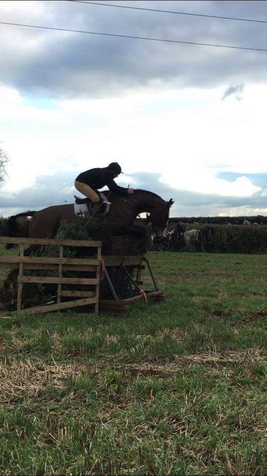 One of our peaks taking part in the hunt yesterday #fourpeaks #kildaretown #firsthuntinover40years 🏇