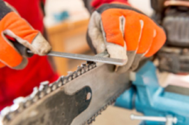 Timberland_AB's tweet photo. Spring will be here before you know it; schedule your chainsaw sharpening today. https://t.co/PTjHtMkr0o #everyonesedmonton #alberta https://t.co/1jFamUIXQQ