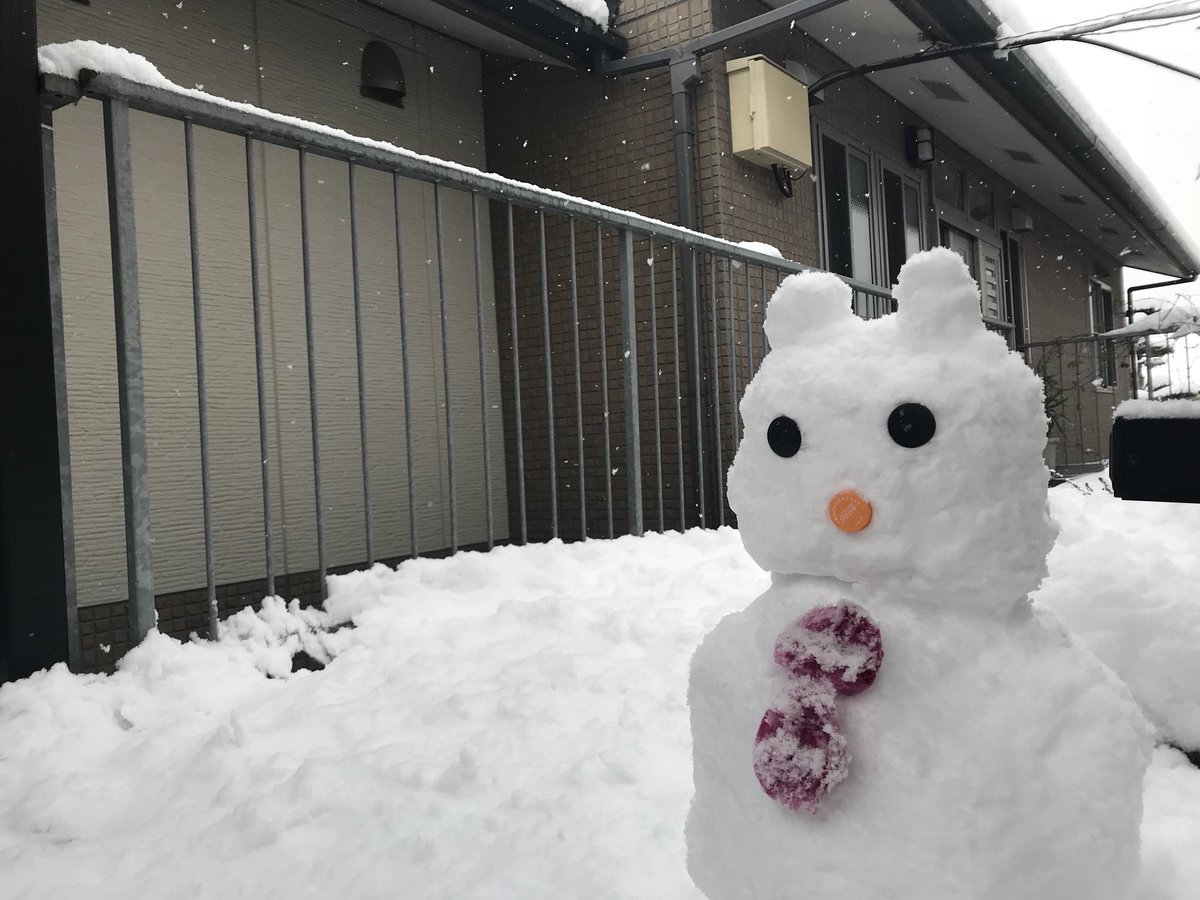 tt_ones's tweet photo. おはよーごじゃまーす！

福岡も雪が凄くて今日は
会社に行けないよー😭

昨日会社で作った雪だるま⛄ https://t.co/fjiZwLcS14