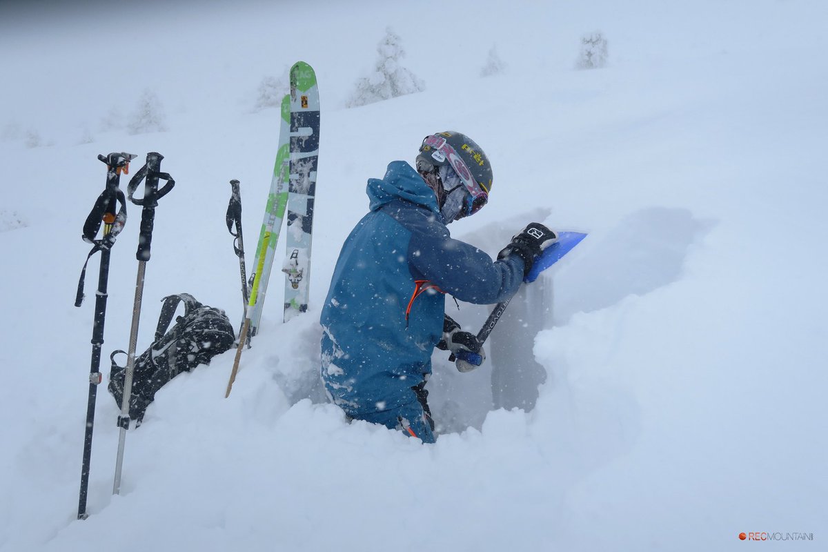 Nivologic tweet media