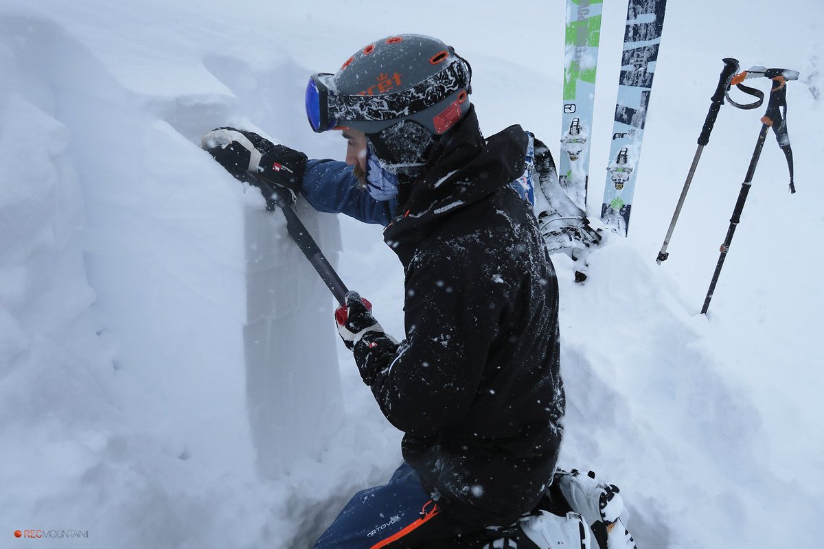 Nivologic tweet media