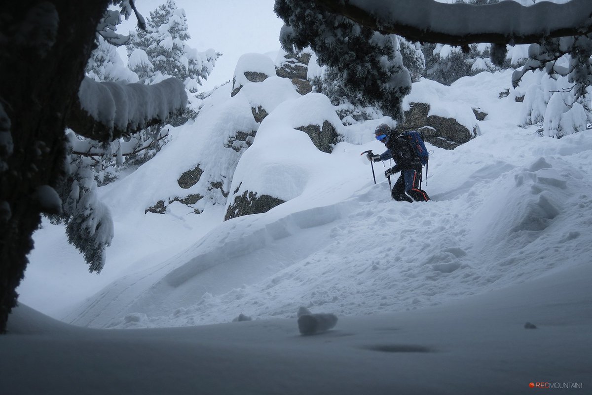 Nivologic tweet media