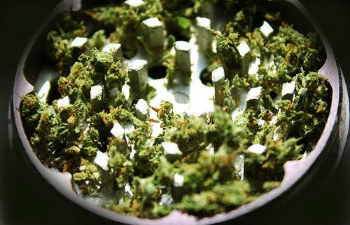 SteppingHighFes's tweet photo. Grind, roll, light.
Help us spread the love. Go to https://t.co/FFAI5IVJjq for more info.
#SteppingHighFestival2018 #TakingYouHigher #ElevatingMinds #UniversallLove #Negril #Jamaica #Caribbean #ganja #ganjagram #weed #marijuana #kush #music #cannabis #rastafari #reggae https://t.co/ZkCleGfavW