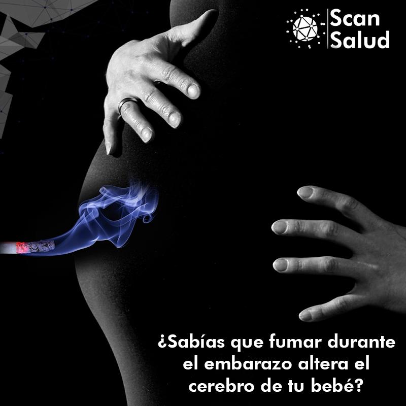 scansalud's tweet photo. Estas consecuencias negativas las han revisado Mikael Ekblad, del Turku University y dos colaboradores, en un artículo publicado en Acta Pediatrica (2015).Los estudios han encontrado que puede afectarse la formación de conexiones entre neuronas e incluso la supervivencia celular. https://t.co/OwiaaWJdM6