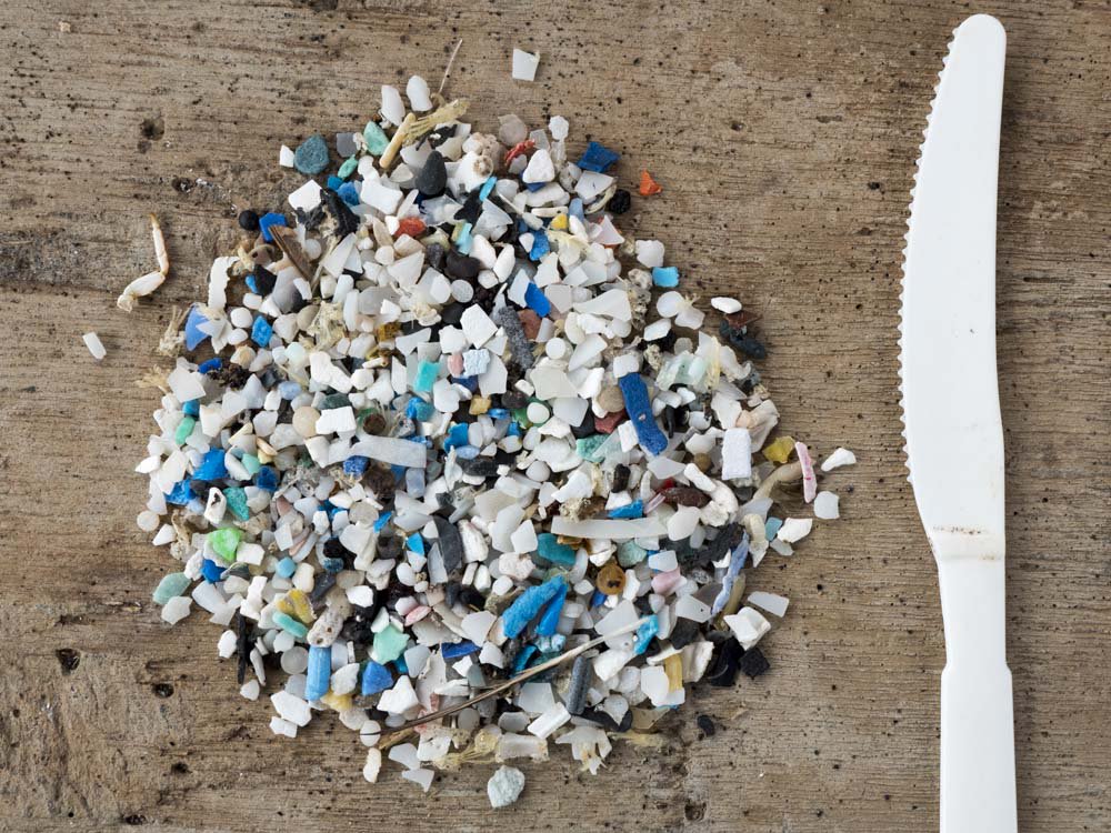 DrAlistairDove's tweet photo. Ocean #plastics aren't always big and dramatic.  Here's some of the 1,515 tiny pieces of plastic I counted in a 4-inch diameter subsample of beach sand today. This is how our soda bottles, lighters, toothbrushes &amp; lollipop sticks meet their end #StHelena2018 #TrashFreeSeas https://t.co/4g963qdsw6