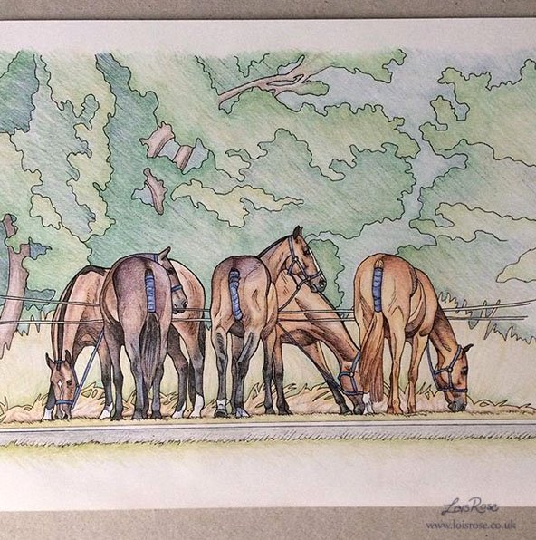 loisrosefineart's tweet photo. Colouring in example! Polo ponies on the lines. Colour pencils, my line art, from my All Things Horse colouring book by @arionprint These ponies were seen @norfolkpolo Norfolk Polo festival last year, which was an event I greatly enjoyed attending! #polo #poloponies #norfolkpolo https://t.co/cIBXARzgS4