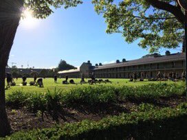OldMechHead's tweet image. HQ #FORCOMD staff starting the day with a solid workout #VictoriaBarracks setting the foundations for the COMD @AustralianArmy