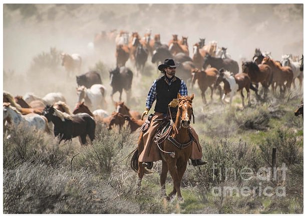 gevans7890's tweet photo. #Cowboy #wrangler working hard #roundup #Traildrive #Western photo available at https://t.co/rPli4Vx7TJ https://t.co/RwjFgCjyLn