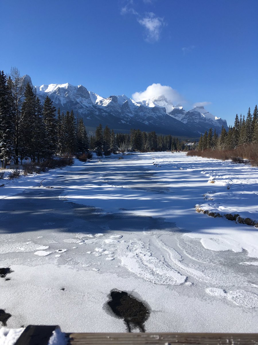 Spring Creek tweet media