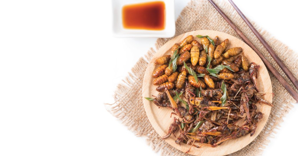 WebMD's tweet photo. Would you eat bugs? About 1,900 insect species are not only edible but highly nutritious. 🐛https://t.co/2sMR5YWOUO https://t.co/rIVcb1KfWq