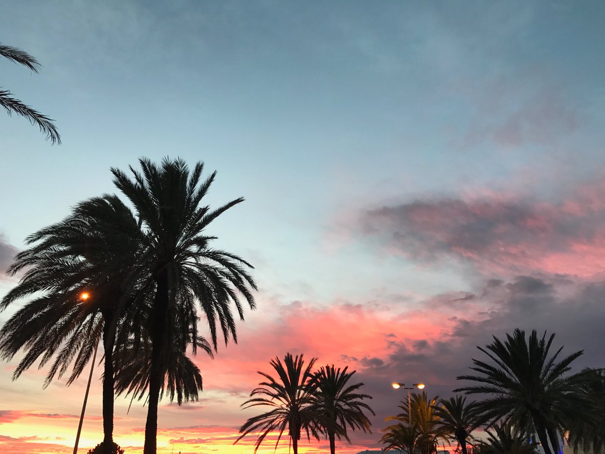 Martin_Mollerup's tweet photo. Costa del Sol sunset view from Puerto Marina, Benalmadena, Spain 🇪🇸 ☀️✨ #España #CostadelSol #Spain #Malaga #Sunset https://t.co/MH9ox0FVvE