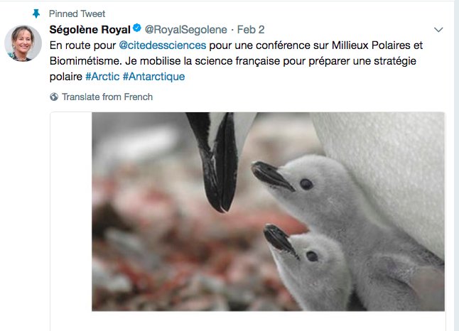 pascalriche's tweet photo. Ambiance glaciale... https://t.co/EEdFxI95Ky