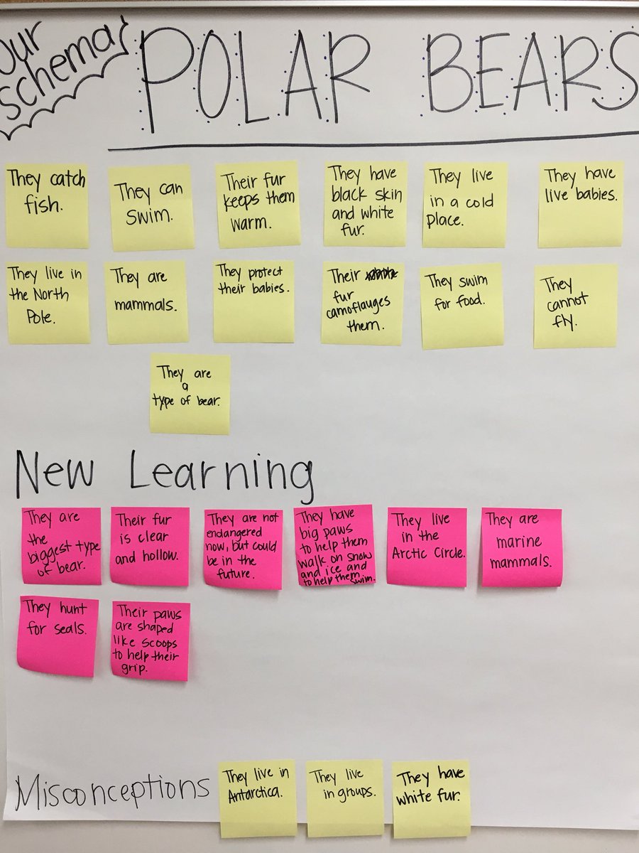 kinderfisch's tweet photo. Learning about #polarbears in #firstgrade. We loved this chart using post-its so we could rearrange as we learned! Thank you @firstgradedi for the idea! #simischools https://t.co/DRvDOUchHh
