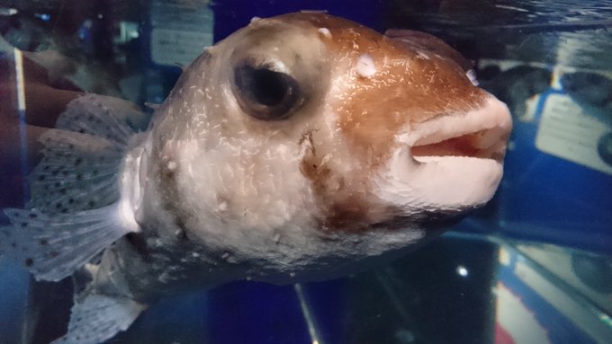 水槽越しのキス 