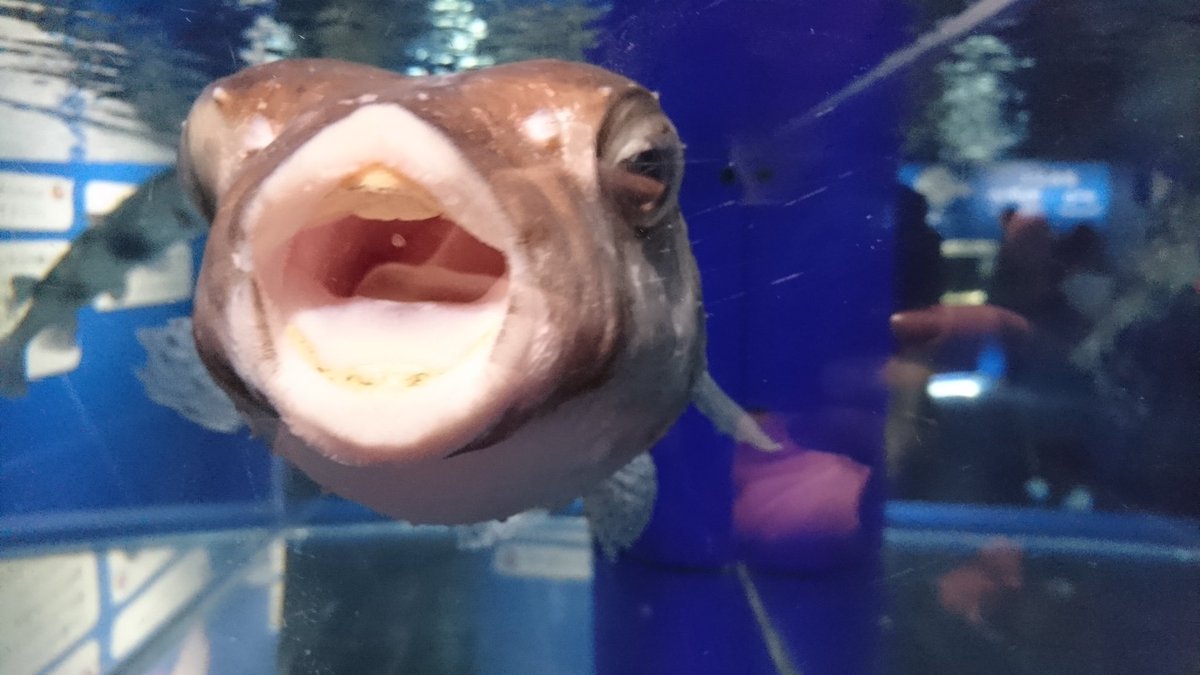 水槽越しのキス 