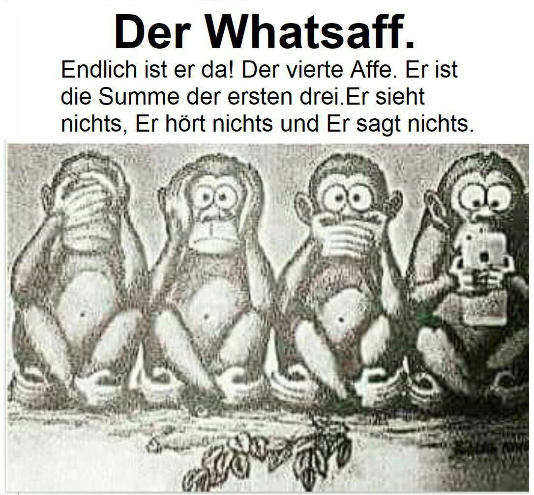 Eva Weissenberger tweet media