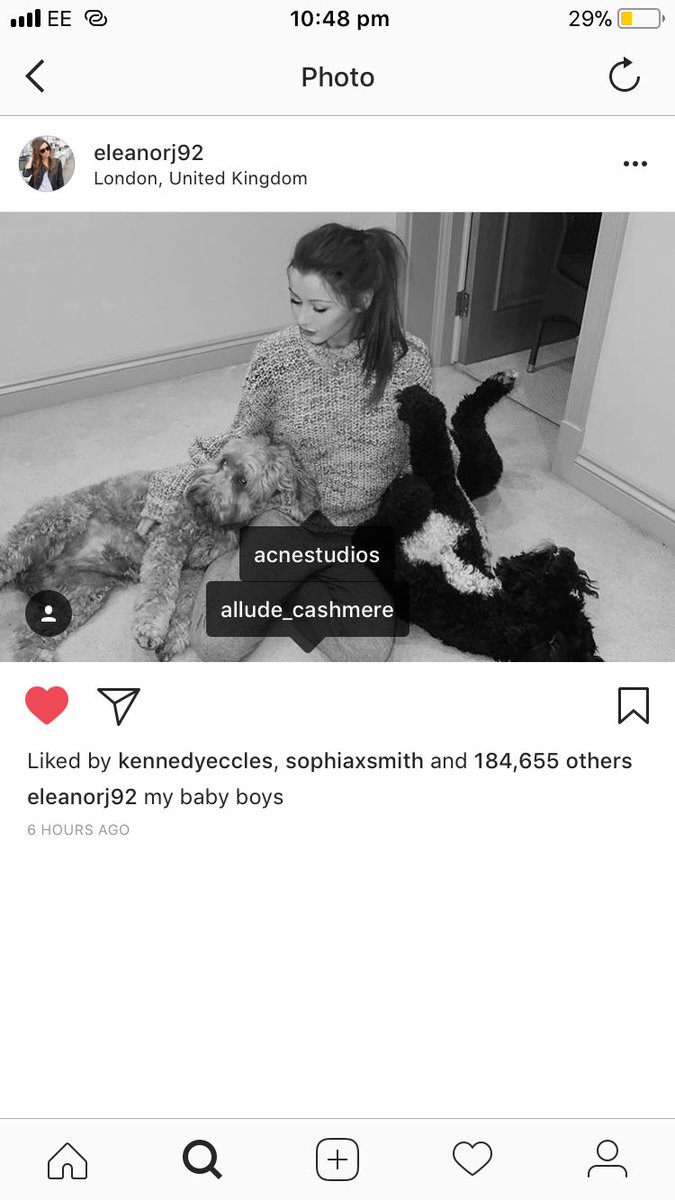 eleanorsempire's tweet photo. #EleanorUpdate - Eleanor posted this adorable pic with her pups π unfortunately the comments are turned off againβΉοΈ we missed you sweetie! @EleanorJCalder we love u hun always got ur back π https://t.co/pU4nsT7vgK