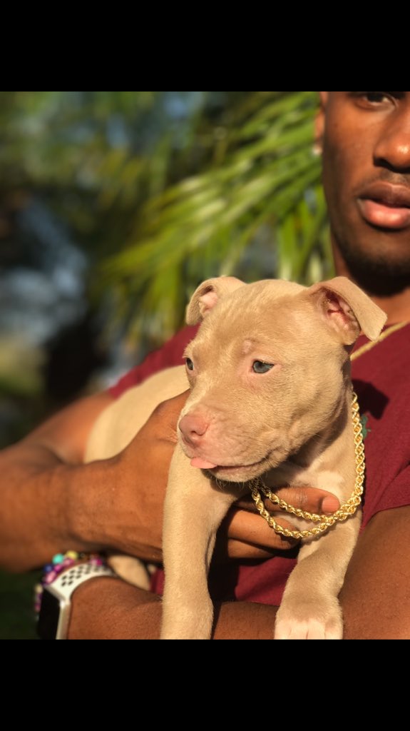 andre_black_'s tweet photo. Welcome.. my Young King 👑💜 https://t.co/SiXkznDt7i