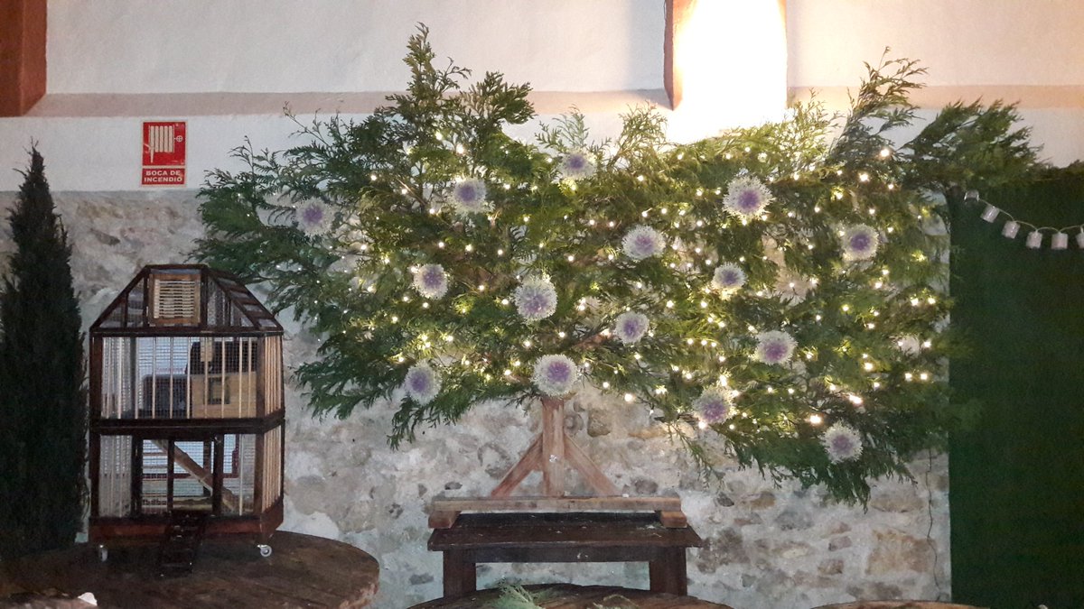 AlekHosep's tweet photo. Salon de bodas Finca El Poblet de Las Atalayas en Alicante 
Tlfns: 673379557/636490132 Brenda/Aymara 
#elpoblet #bodasnet #bodas2017 #wedding #weddingceremony #weddingevents #weddingplaning #ceremony #events #Alicante #Spain https://t.co/uhz5LL1xfX