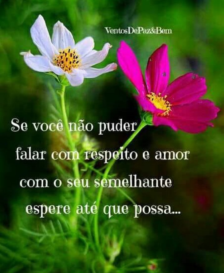 Iolanda Arruda (@iolanda_arruda1) on Twitter photo 