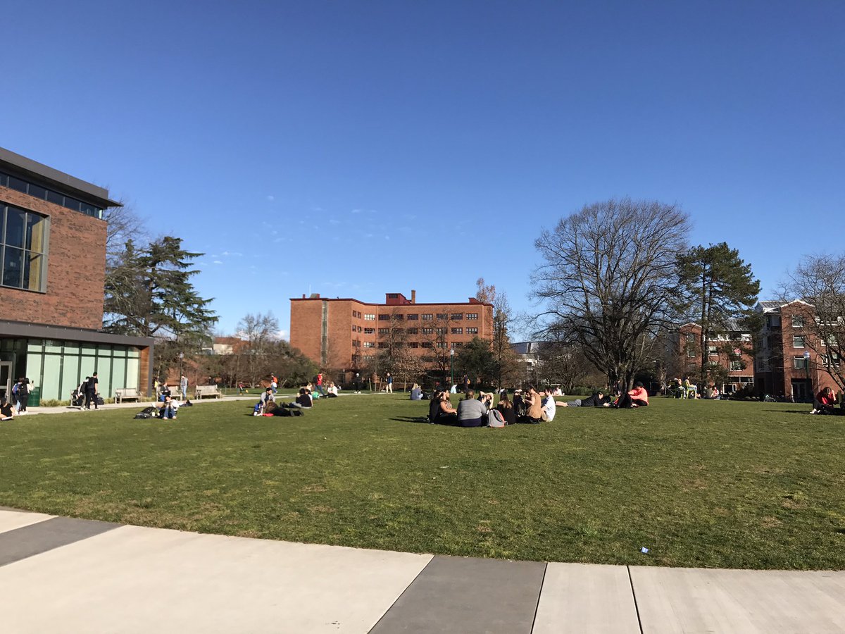 thetaboregon's tweet photo. I think we like the sun☀️ https://t.co/y8dgq0Ctqr
