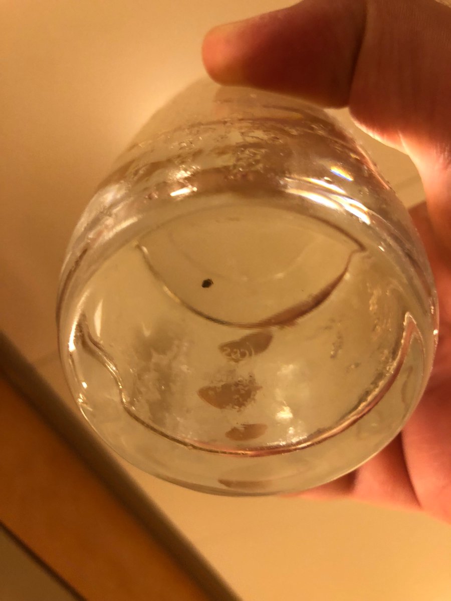 CattyEyes_com's tweet photo. Nightmare "vacation". BUGS IN THE FOOD AND WATER #hollandamerica #carnivalcruise #carnival #oosterdam #disgusting #limedisease #healthviolation https://t.co/WyD4Fgm60Q