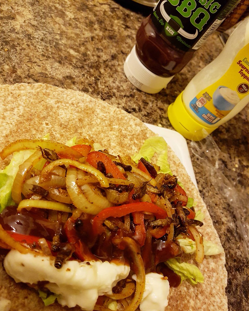 Ento_Munch's tweet photo. Cricket fajitas of an evening, tasty as heck.

#edibleinsects #entomophagy #fajitas https://t.co/AuhCSNq330