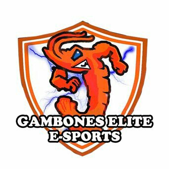 K-Low eSports tweet media