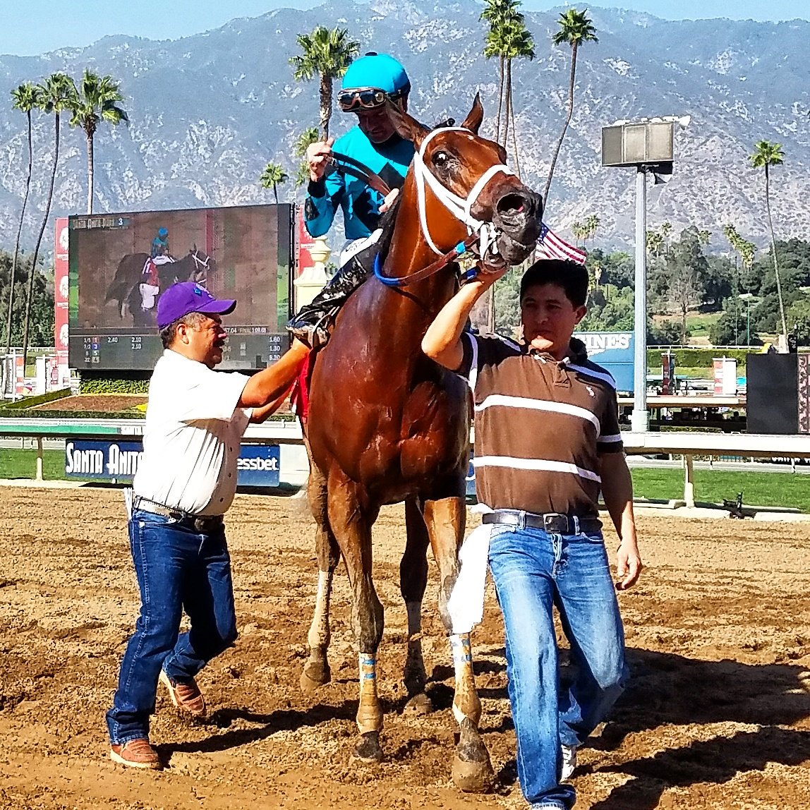 RubenUnemployed's tweet photo. When #RoyH π is reminded some geniusπ didn't vote for him as unanimous 2017 Eclipse Award Sprint Champion π π΄after starting 2018 season off with easy win in #PalosVerdesStakes π° -probably π #SantaAnitaPark #RockinghamRanch https://t.co/lAVoSbVjjD