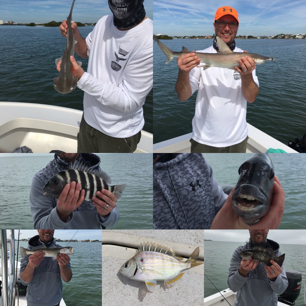 tabertackle's tweet image. Traveled to Florida and did some fishing. Caught Bonnethead sharks, sheepshead, spotted trout, pin fish and some small grouper. GOOD TIMES!!