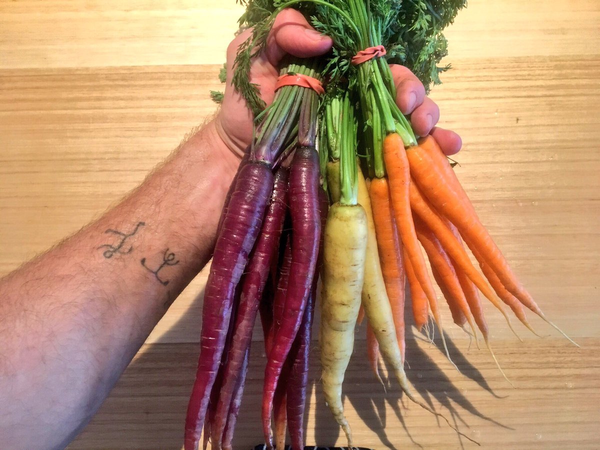 jerradskitchen's tweet photo. Kids not eating their carrots?
Try these colourful heirloom carrots. 🥕
They’re making carrots cool again! ✌🏼😎
#carrots #healthyeating #fresh https://t.co/IiuXeS2XB6