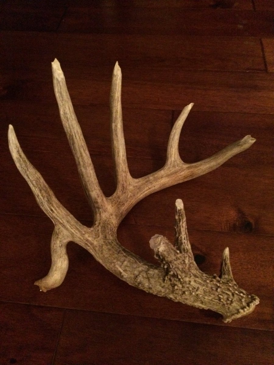 driftlessarc's tweet photo. @AverageHunter  https://t.co/soQsAH0wqK