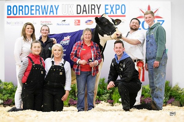 PerfectionCSale's tweet photo. Almost the end of #MaxScoreMonday but we thought we would quickly introduce our latest #World Class Pedigree

Peak Gold Den Rhapsody a Mr Mogul Denver daughter of “The Tank” Peak Goldwyn Rhapsody EX97

We are delighted to be working with a direct daughter of this living legend https://t.co/dtqLKR6XZe